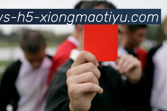 瑞士中场小将称扎卡为理想队长具备人品与开朗性格的完美结合